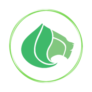 casa_dell_energie_logo-removebg-preview